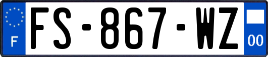 FS-867-WZ