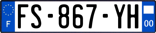 FS-867-YH