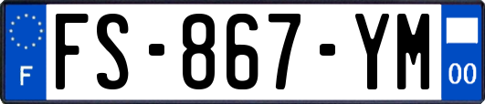 FS-867-YM