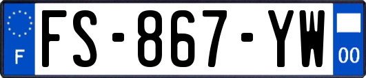 FS-867-YW