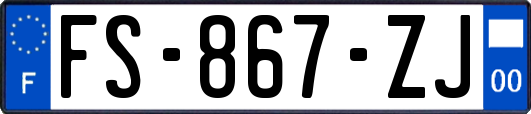FS-867-ZJ