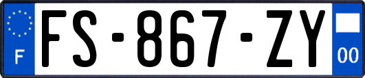 FS-867-ZY
