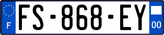 FS-868-EY
