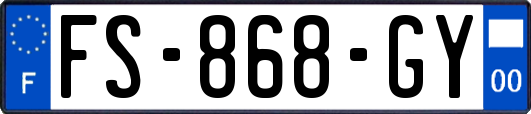 FS-868-GY