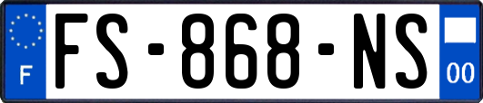 FS-868-NS