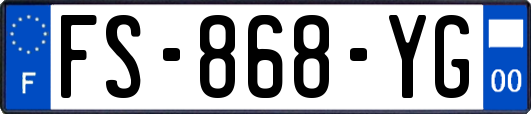 FS-868-YG