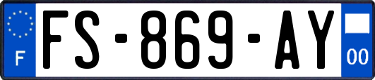FS-869-AY