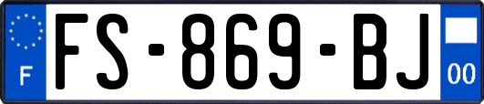FS-869-BJ