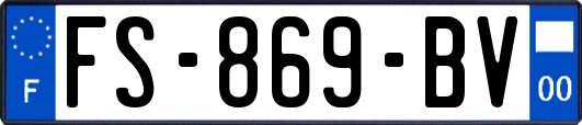 FS-869-BV