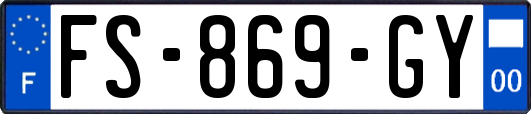 FS-869-GY
