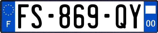FS-869-QY