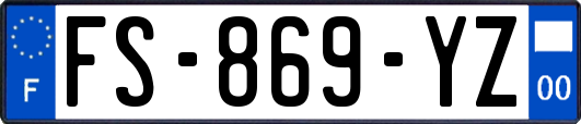 FS-869-YZ