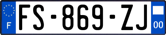 FS-869-ZJ