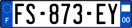 FS-873-EY