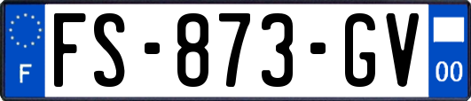 FS-873-GV