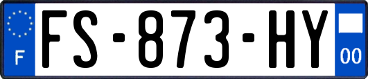 FS-873-HY