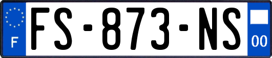 FS-873-NS