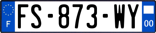 FS-873-WY