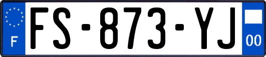 FS-873-YJ