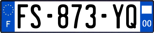 FS-873-YQ