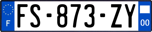 FS-873-ZY