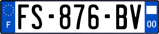 FS-876-BV