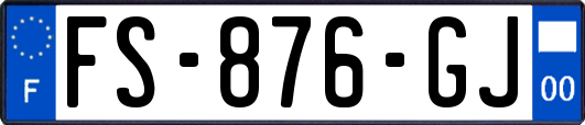 FS-876-GJ