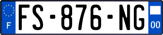 FS-876-NG