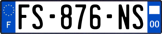 FS-876-NS