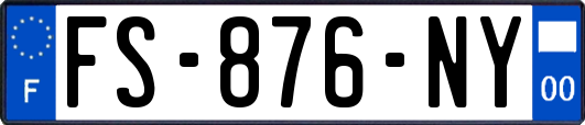 FS-876-NY