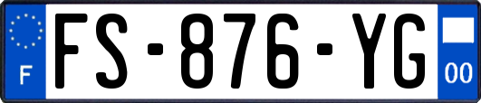 FS-876-YG