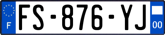 FS-876-YJ