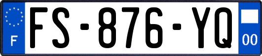 FS-876-YQ