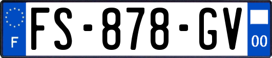 FS-878-GV