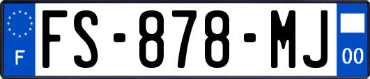 FS-878-MJ