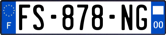 FS-878-NG