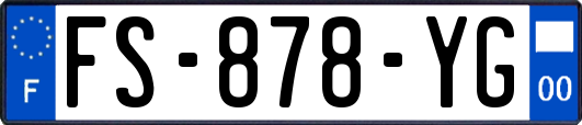 FS-878-YG