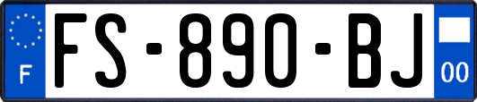 FS-890-BJ