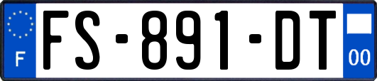 FS-891-DT