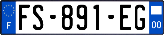 FS-891-EG