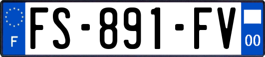 FS-891-FV