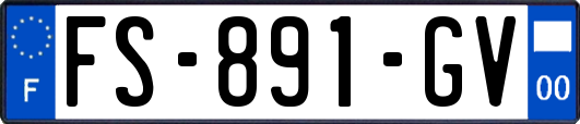 FS-891-GV