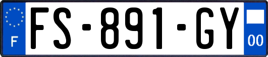 FS-891-GY