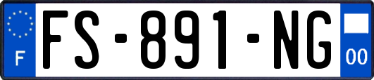 FS-891-NG