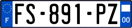 FS-891-PZ