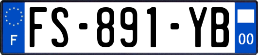 FS-891-YB