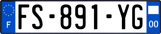 FS-891-YG