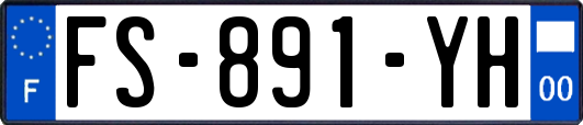 FS-891-YH