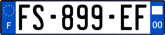 FS-899-EF