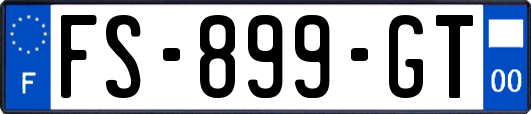 FS-899-GT